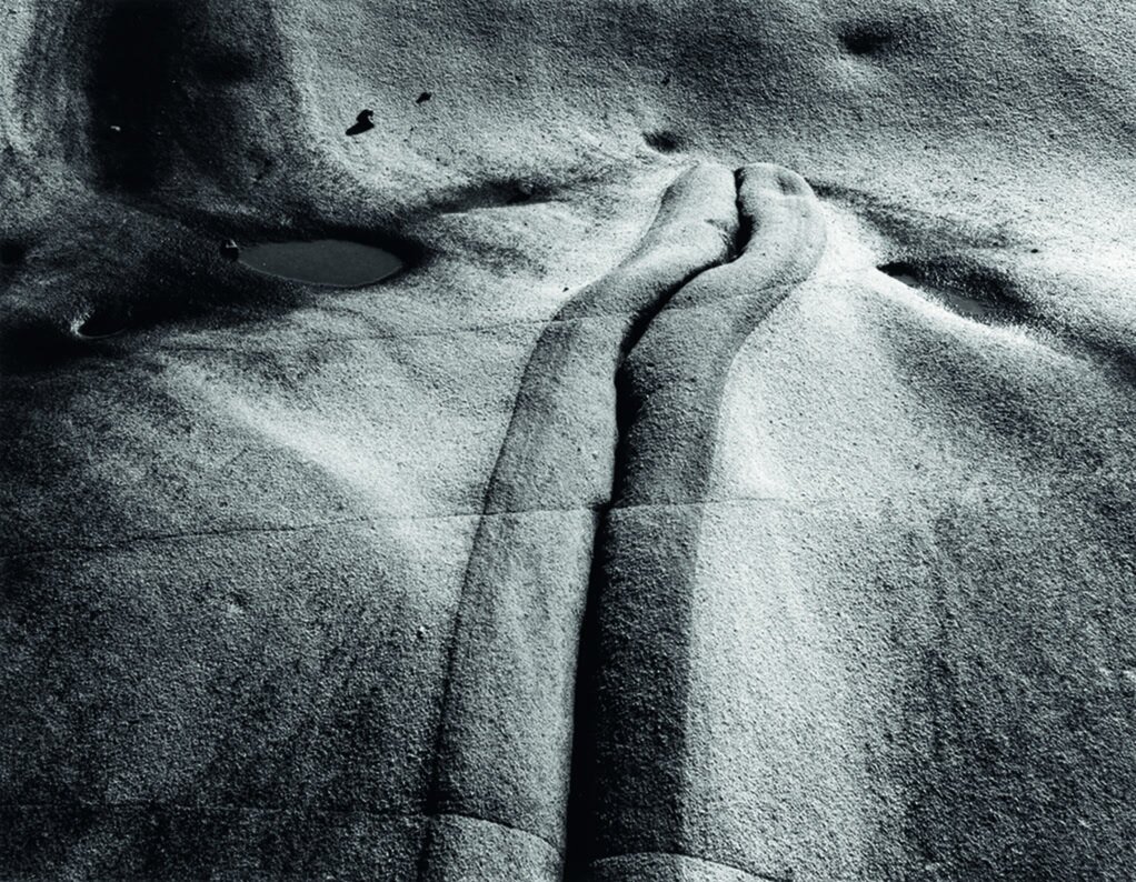 Detalle abstracto de roca en Point Lobos, California, fotografiado por Minor White en marzo de 1950.